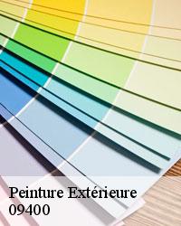 Choisir la peinture mur extérieur – 09400